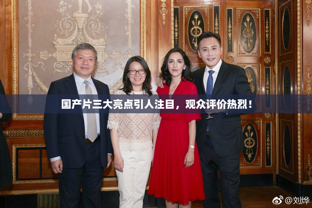 国产片三大亮点引人注目，观众评价热烈！