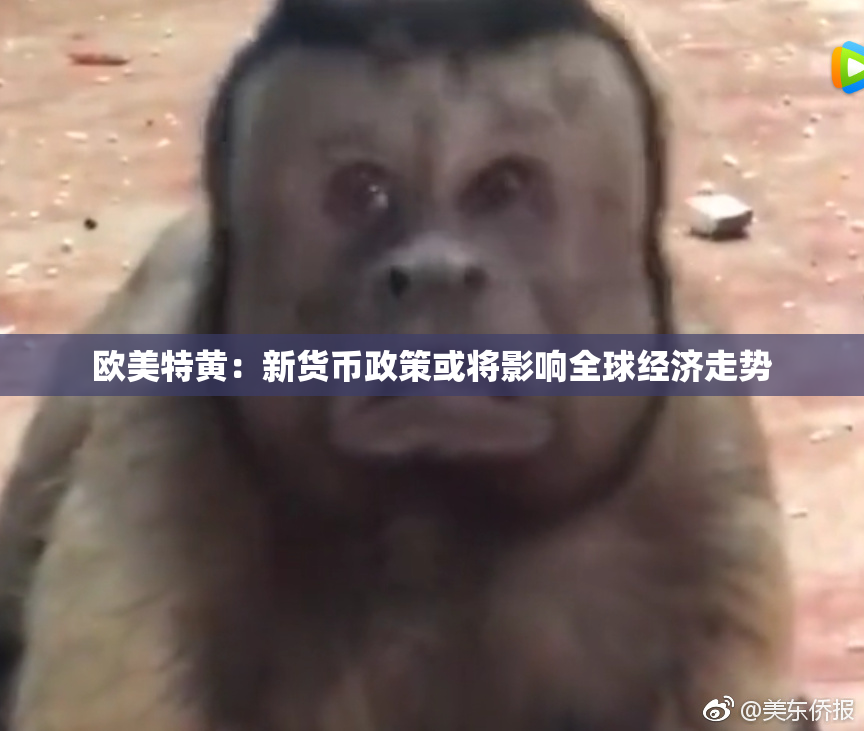 欧美特黄：新货币政策或将影响全球经济走势