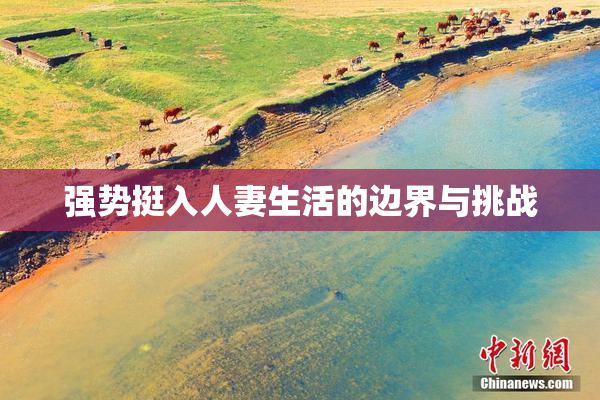 强势挺入人妻生活的边界与挑战