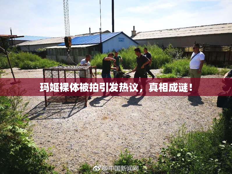 玛姬裸体被拍引发热议，真相成谜！