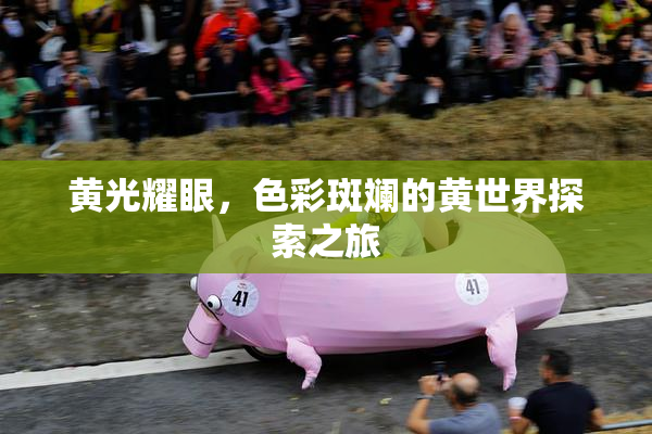 黄光耀眼，色彩斑斓的黄世界探索之旅