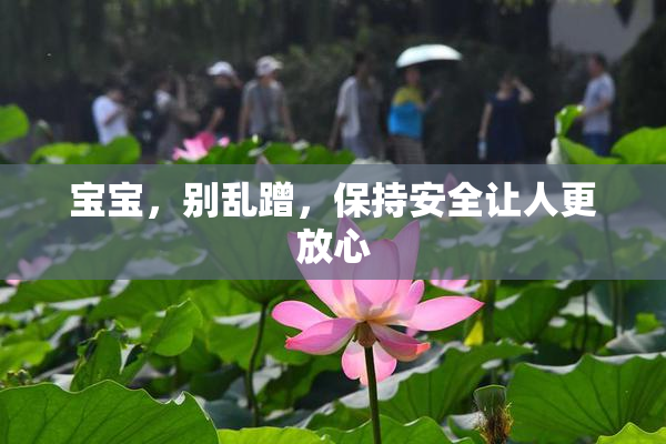 宝宝，别乱蹭，保持安全让人更放心