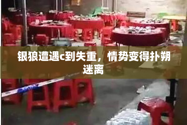 银狼遭遇c到失重，情势变得扑朔迷离