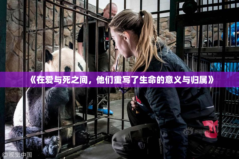 《在爱与死之间，他们重写了生命的意义与归属》