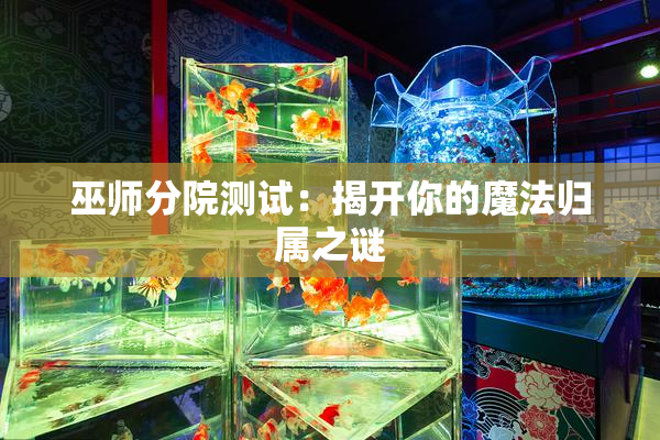 巫师分院测试：揭开你的魔法归属之谜
