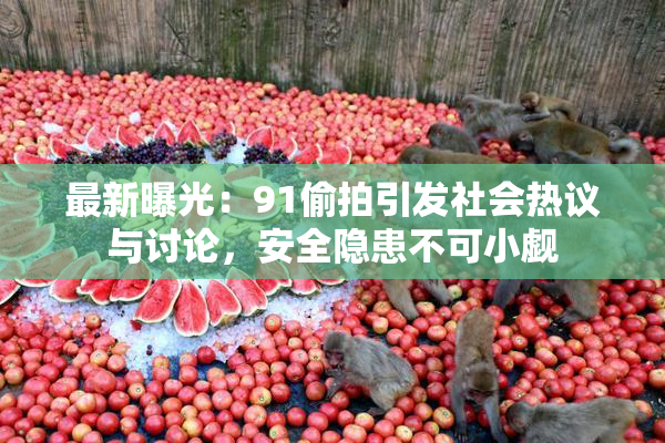 最新曝光：91偷拍引发社会热议与讨论，安全隐患不可小觑