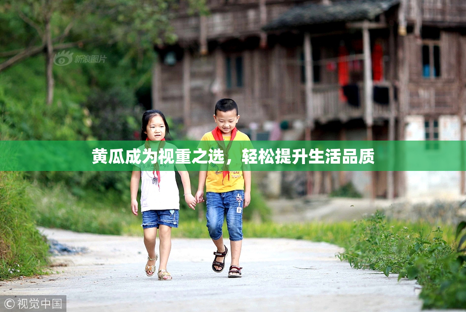 黄瓜成为视重之选，轻松提升生活品质