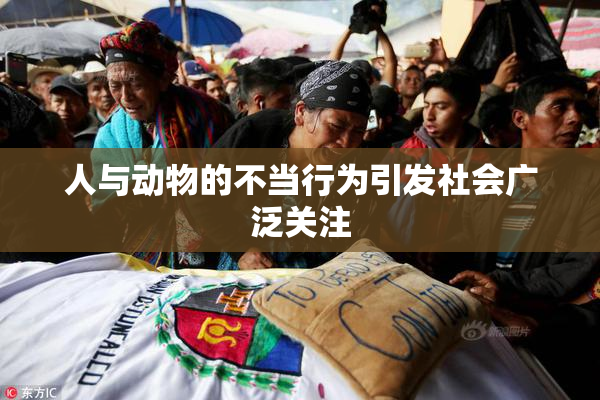 人与动物的不当行为引发社会广泛关注