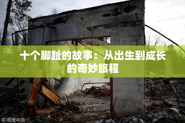 十个脚趾的故事：从出生到成长的奇妙旅程