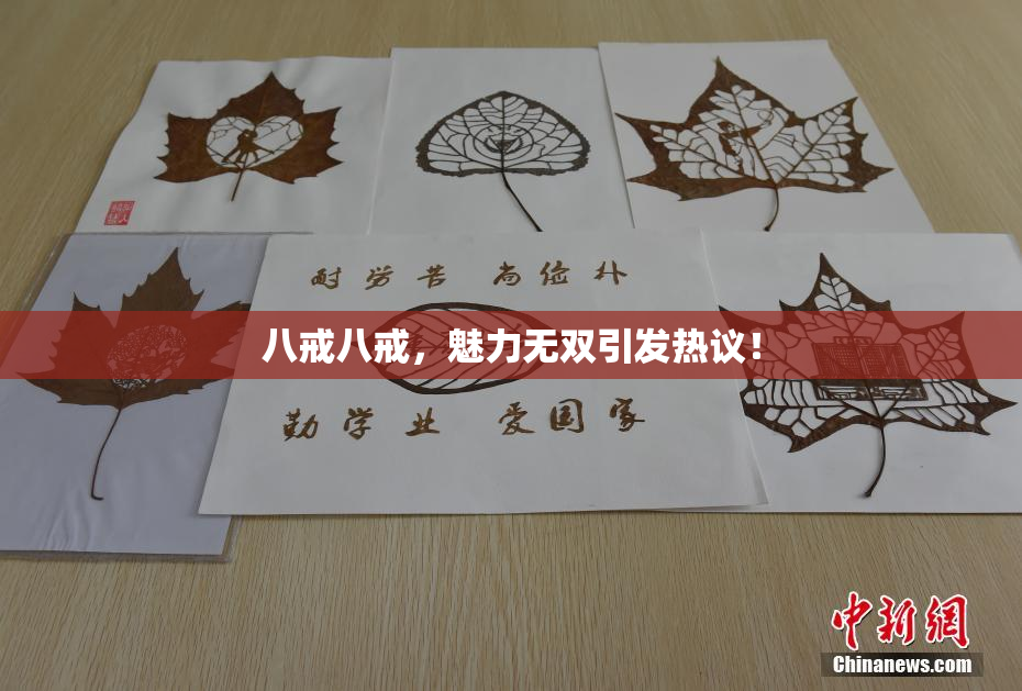 八戒八戒，魅力无双引发热议！