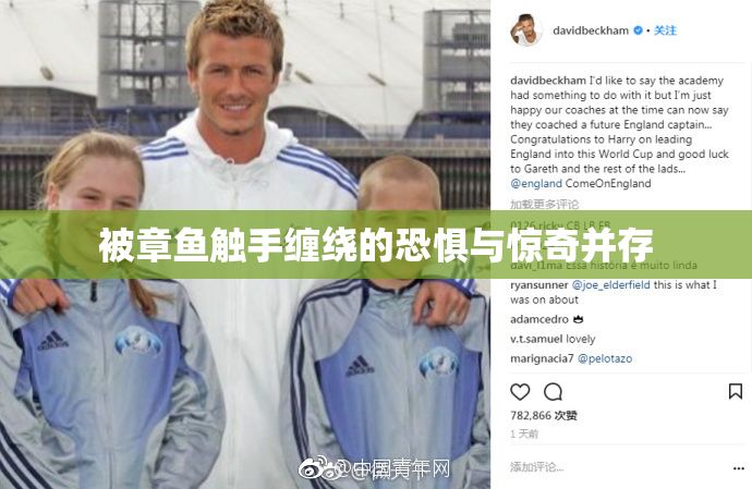 被章鱼触手缠绕的恐惧与惊奇并存