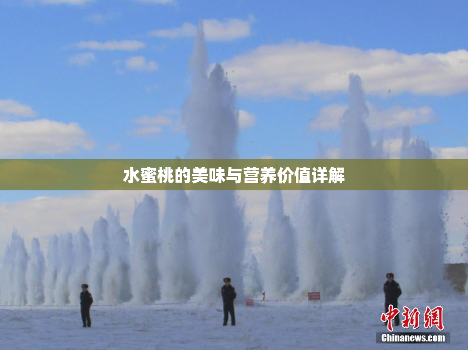 水蜜桃的美味与营养价值详解