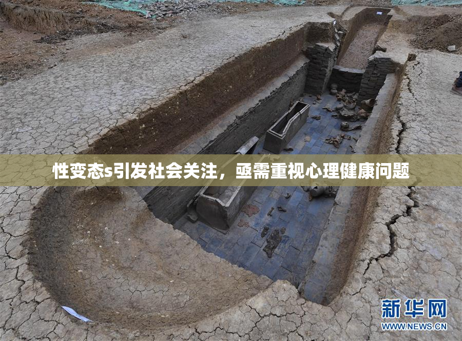 性变态s引发社会关注，亟需重视心理健康问题