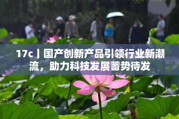 17c丨国产创新产品引领行业新潮流，助力科技发展蓄势待发