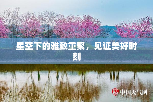 星空下的雅致重聚，见证美好时刻
