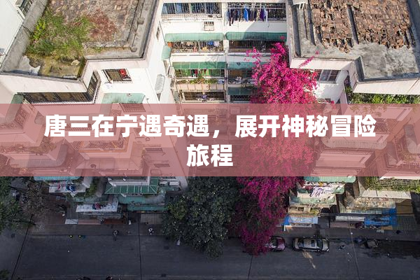 唐三在宁遇奇遇，展开神秘冒险旅程