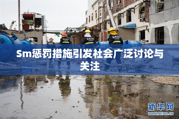 Sm惩罚措施引发社会广泛讨论与关注