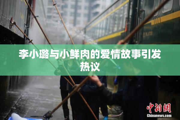 李小璐与小鲜肉的爱情故事引发热议