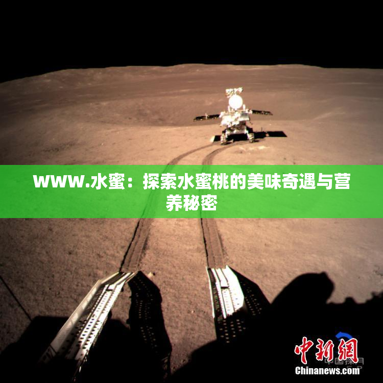 WWW.水蜜：探索水蜜桃的美味奇遇与营养秘密