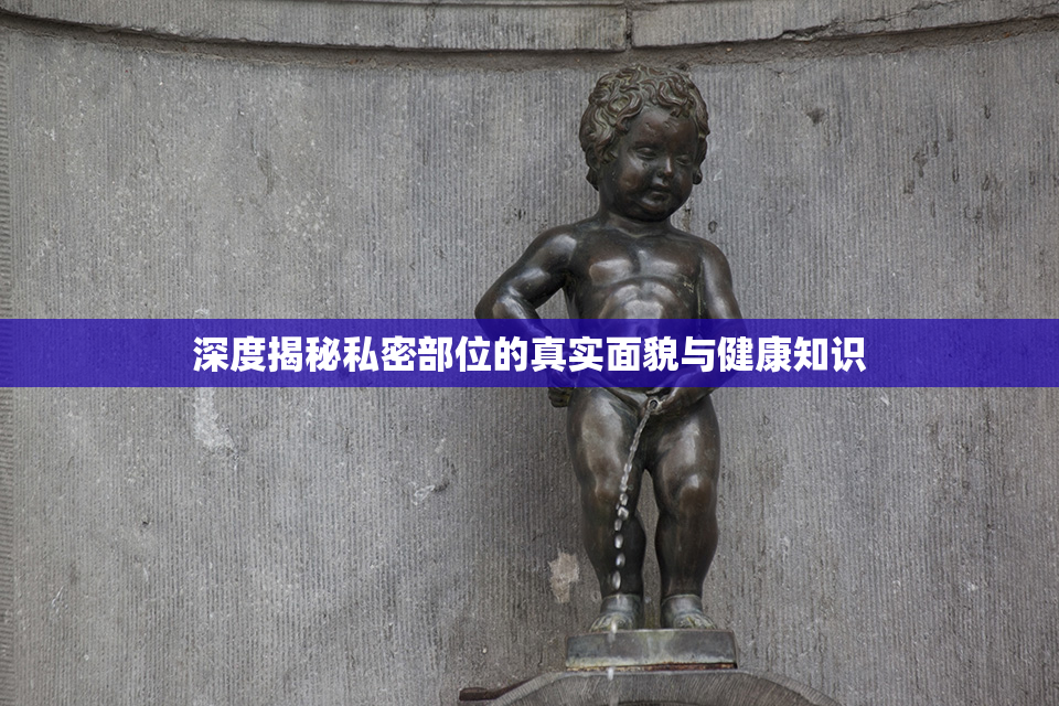 深度揭秘私密部位的真实面貌与健康知识
