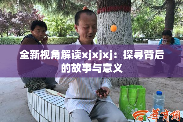 全新视角解读xjxjxj：探寻背后的故事与意义