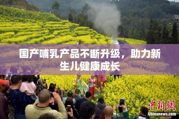 国产哺乳产品不断升级，助力新生儿健康成长