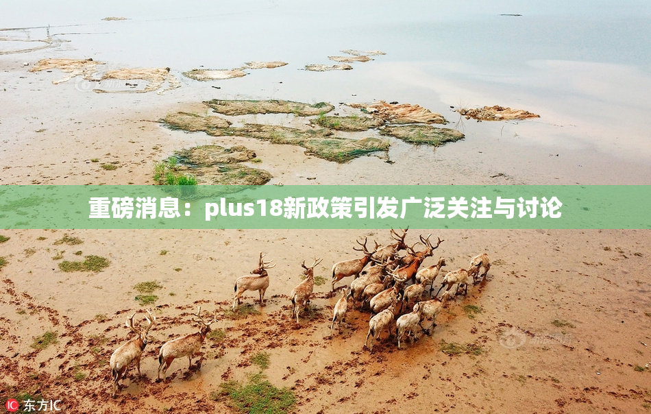重磅消息：plus18新政策引发广泛关注与讨论
