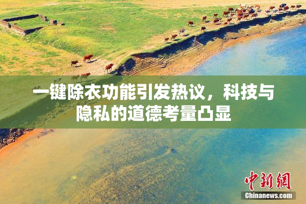 一键除衣功能引发热议，科技与隐私的道德考量凸显