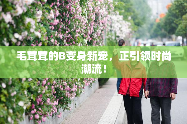 毛茸茸的B变身新宠，正引领时尚潮流！