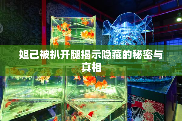 妲己被扒开腿揭示隐藏的秘密与真相