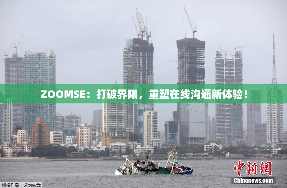 ZOOMSE：打破界限，重塑在线沟通新体验！