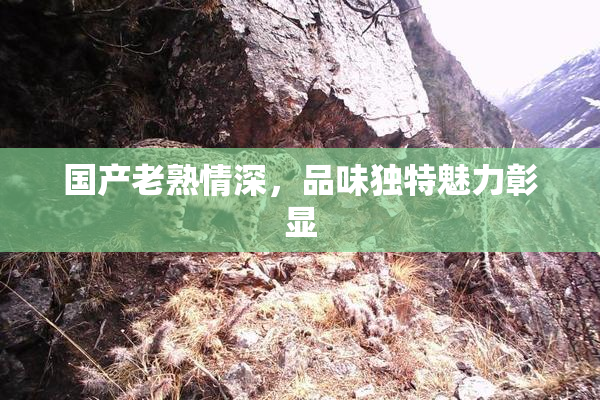 国产老熟情深，品味独特魅力彰显
