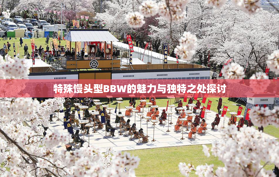 特殊馒头型BBW的魅力与独特之处探讨