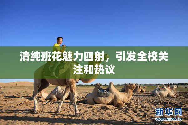 清纯班花魅力四射，引发全校关注和热议