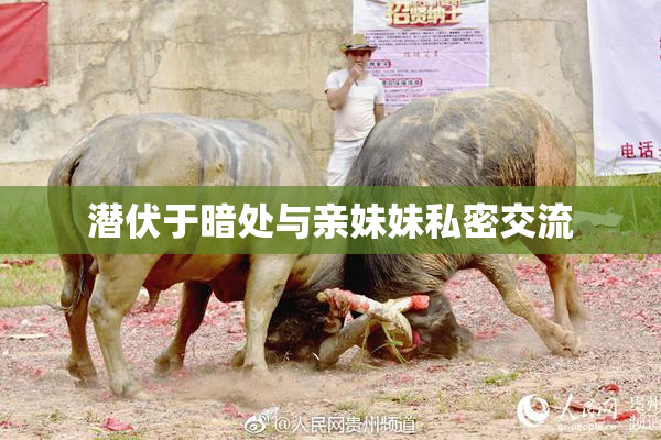 潜伏于暗处与亲妹妹私密交流