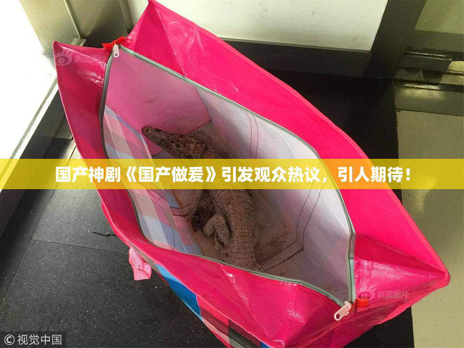 国产神剧《国产做爰》引发观众热议，引人期待！