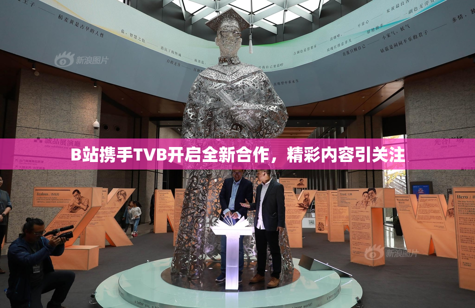 B站携手TVB开启全新合作，精彩内容引关注