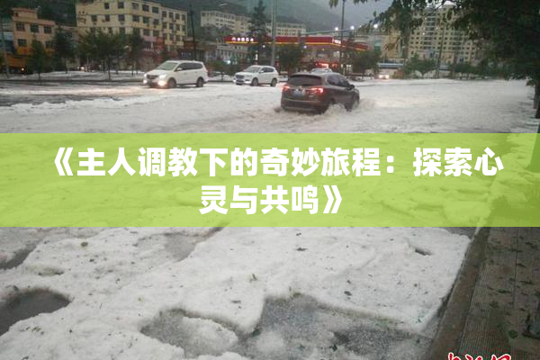 《主人调教下的奇妙旅程：探索心灵与共鸣》