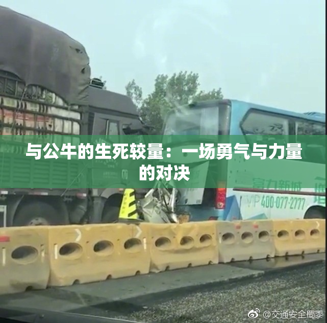 与公牛的生死较量：一场勇气与力量的对决