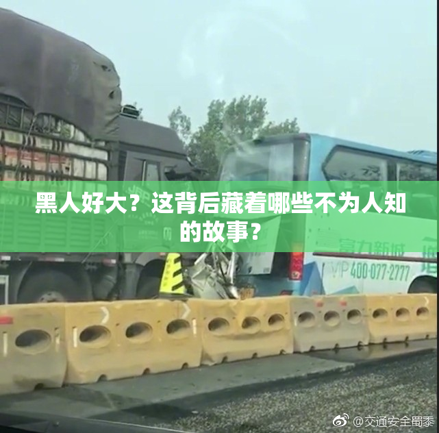 黑人好大？这背后藏着哪些不为人知的故事？