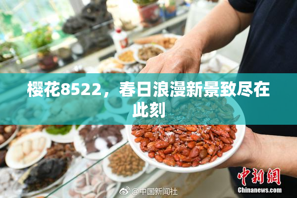 樱花8522，春日浪漫新景致尽在此刻