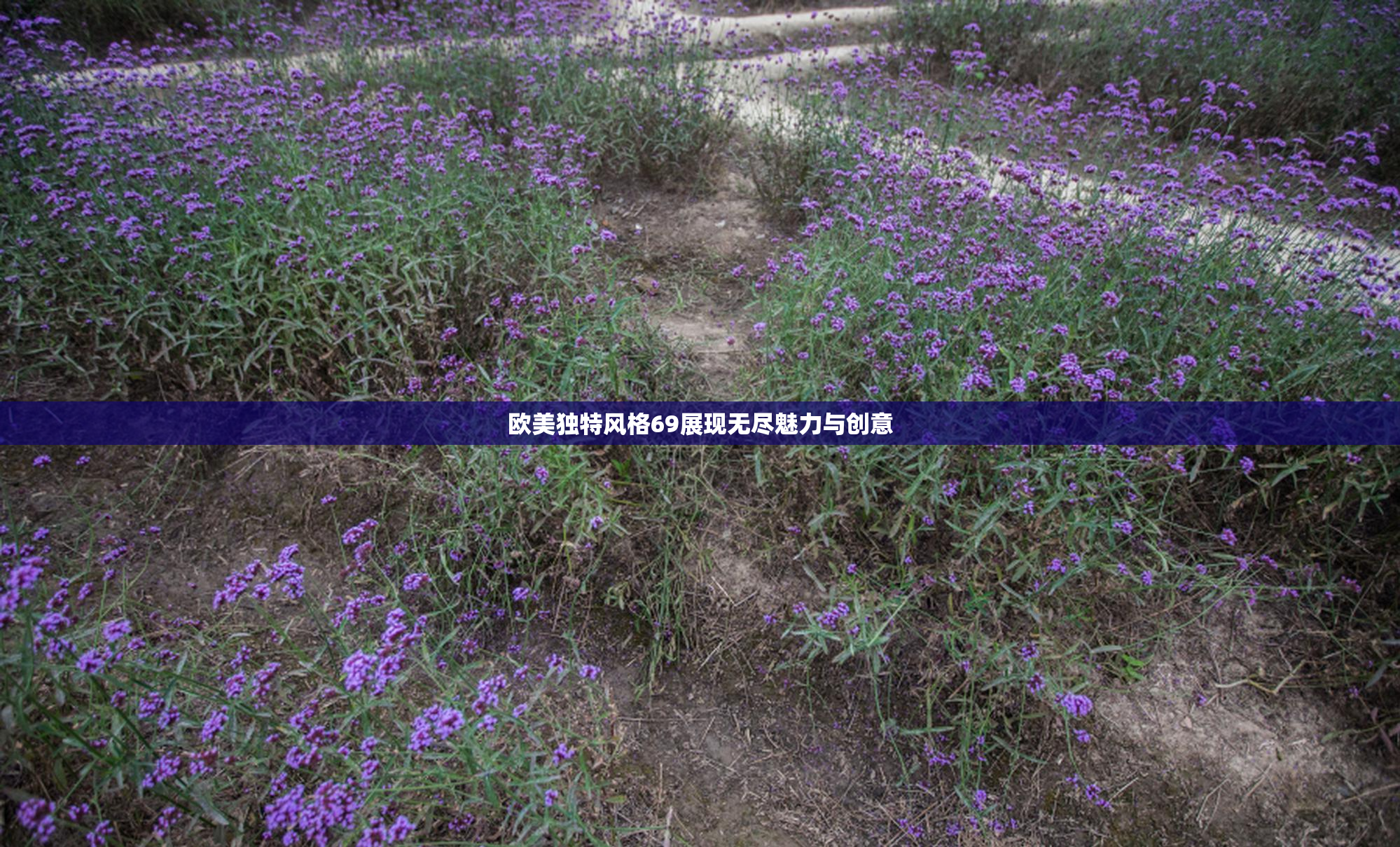 欧美独特风格69展现无尽魅力与创意