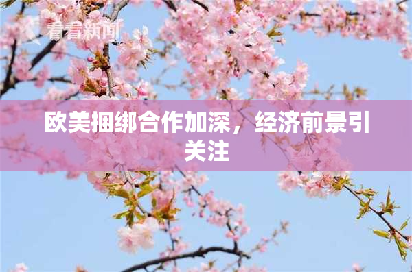 欧美捆绑合作加深，经济前景引关注