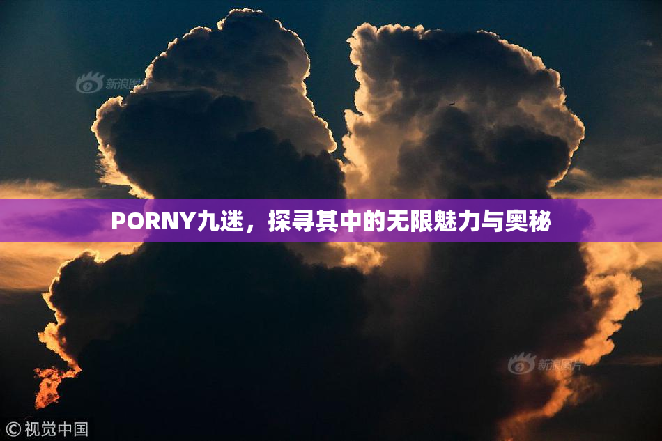 PORNY九迷，探寻其中的无限魅力与奥秘