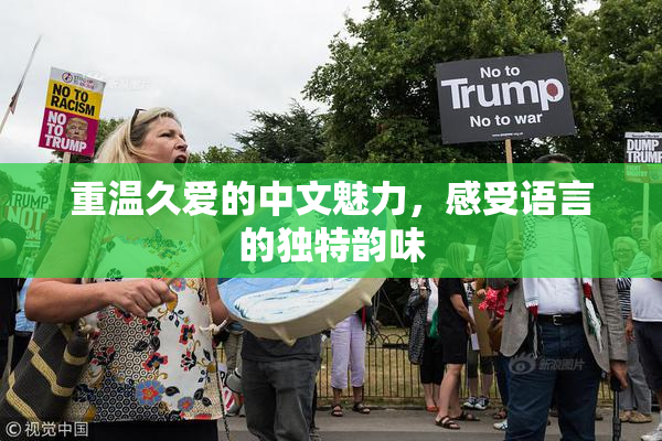 重温久爱的中文魅力，感受语言的独特韵味