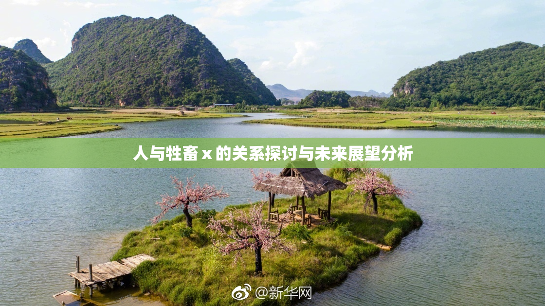 人与牲畜ⅹ的关系探讨与未来展望分析