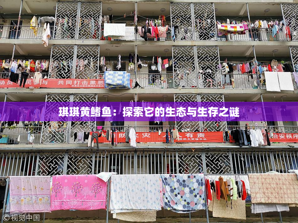 琪琪黄鳍鱼：探索它的生态与生存之谜