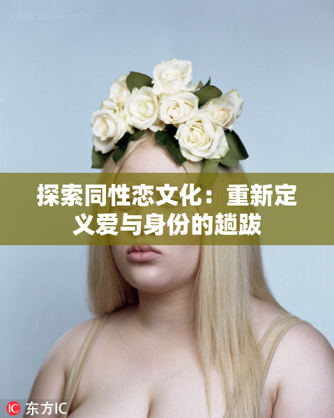 探索同性恋文化：重新定义爱与身份的趟跋