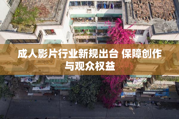 成人影片行业新规出台 保障创作与观众权益