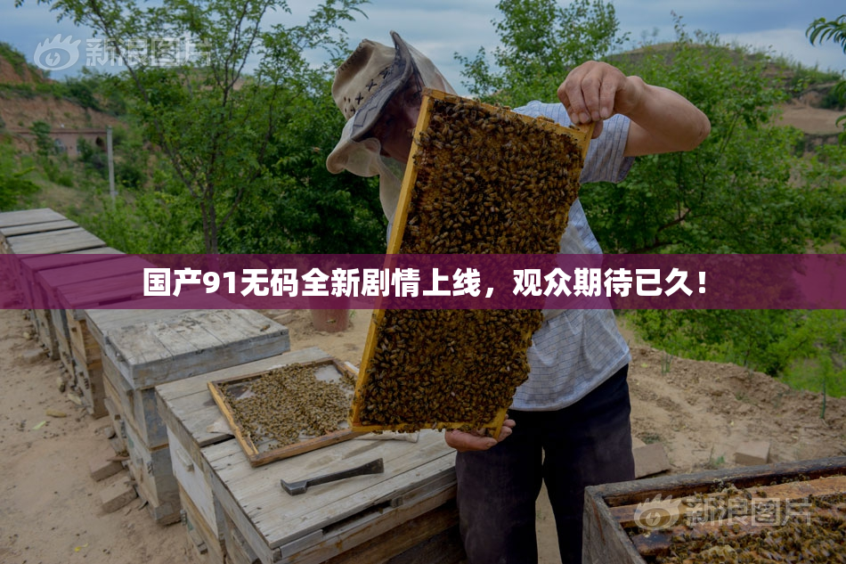国产91无码全新剧情上线，观众期待已久！